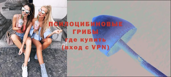 хмурый Белоозёрский