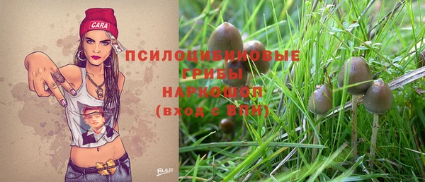 хмурый Белоозёрский