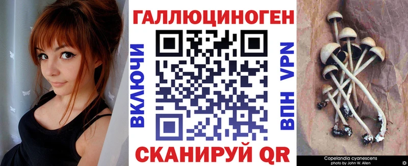 Псилоцибиновые грибы Cubensis  купить закладку  Кунгур 